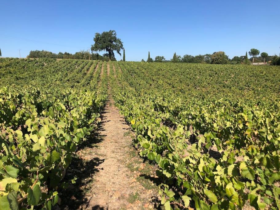 Gite De Charme Au Coeur Des Vignes Villa Maisdon-sur-Sevre Exterior photo